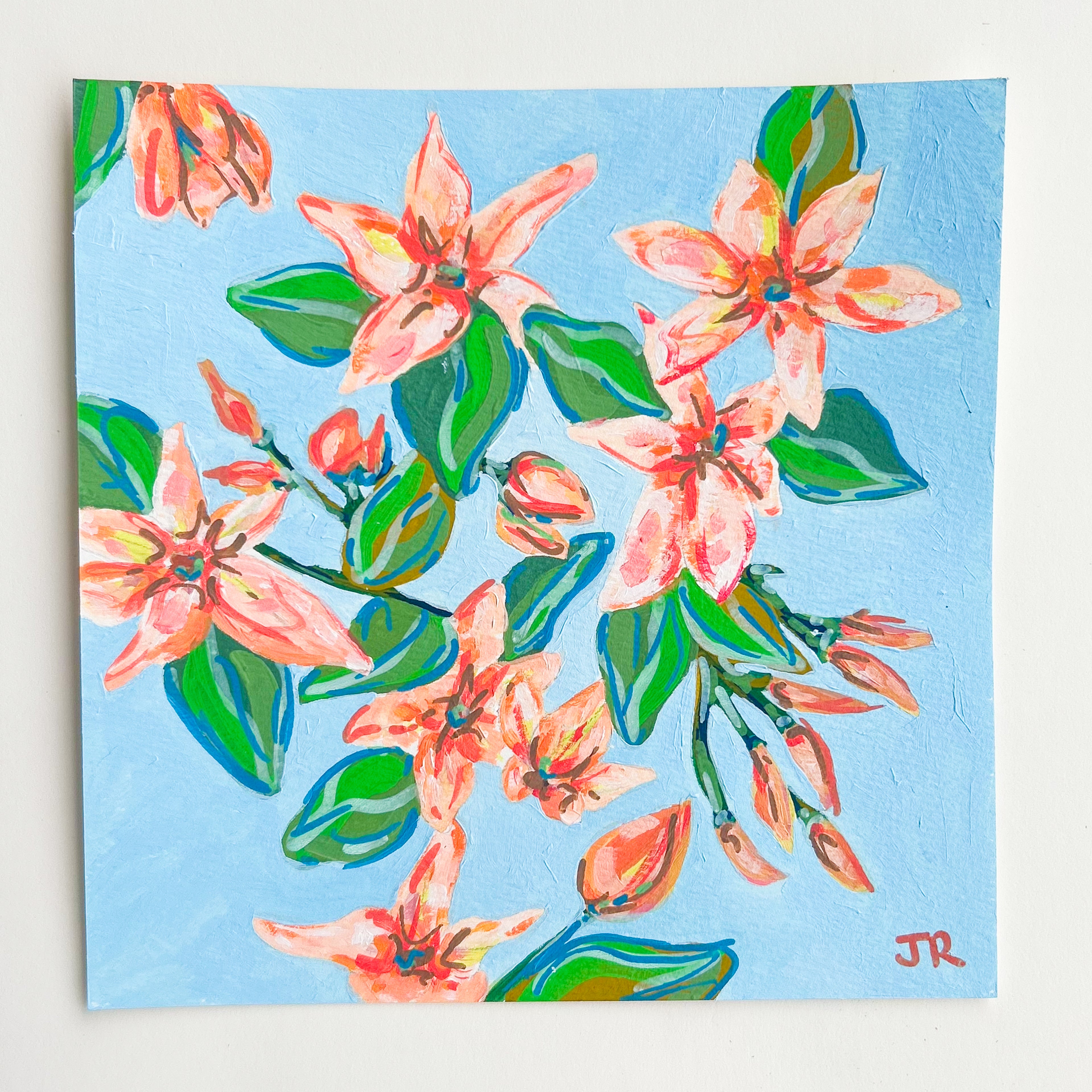 Creamsicle Jasmine| Gouache on Paper